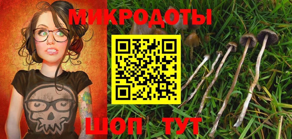 Энгельс  Галлюциногенные грибы Psilocybe  Вход с VPN  Псилоцибиновые грибы Magic Shrooms 